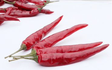 辣椒界的“茅台”——虾子辣椒玩转“互联网+”