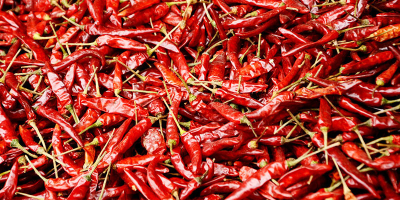 辣椒3(1).jpg