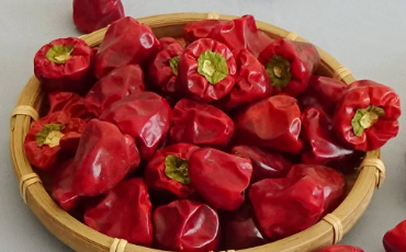 辣椒搬运工：虾子辣椒走向世界的主力军