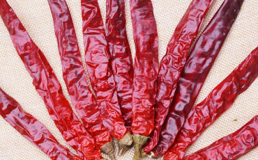 遵义市新蒲新区“虾子辣椒全产业链”之生产种植篇