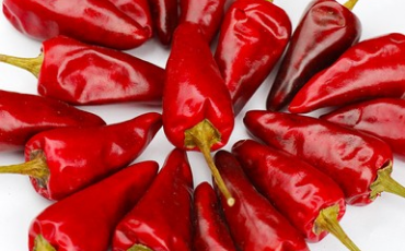 遵义虾子辣椒：“中国辣椒，集散虾子，买卖全球”